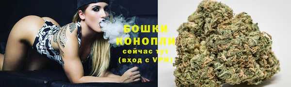 шишки Магадан