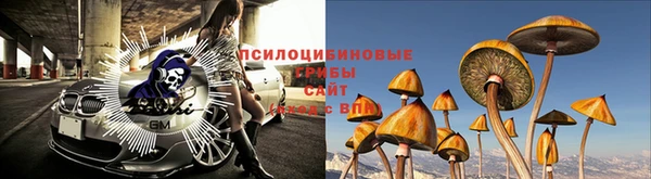 шишки Магадан