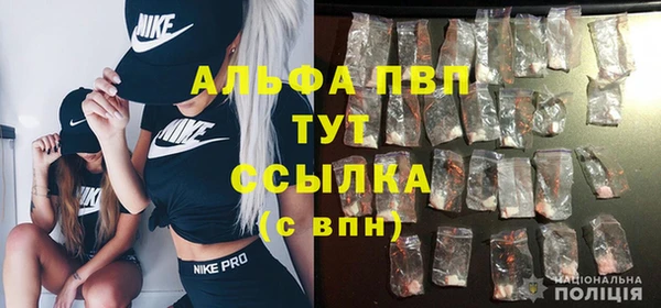 амф Магас