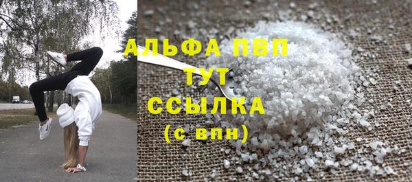 амф Магас