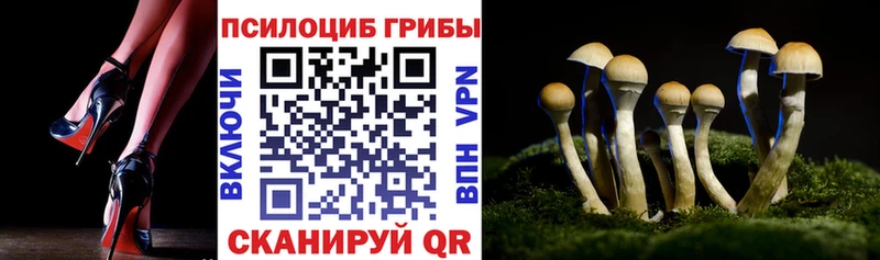 Купить закладки  Когалым  Галлюциногенные грибы Psilocybine cubensis 